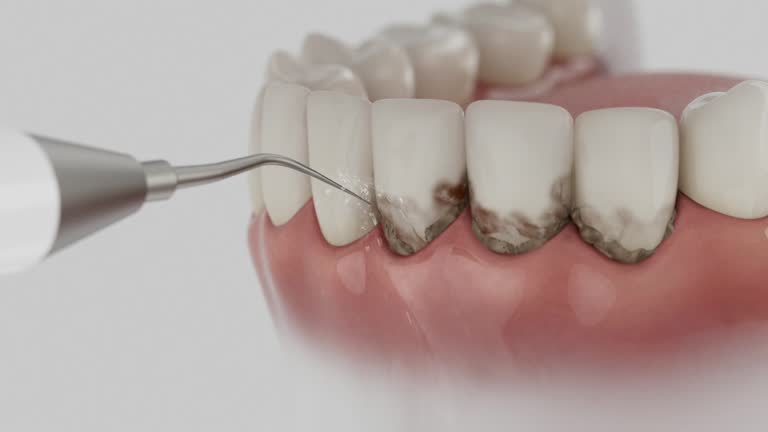 Reliable Dental contractor in Rolling Fork, MS by Dentist Open Now